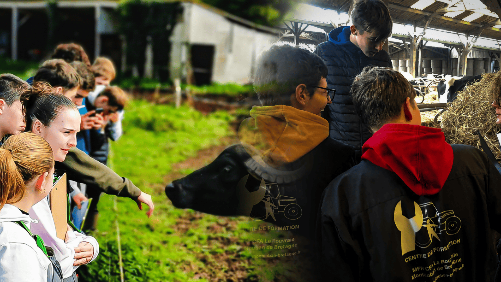 Formation_Alternance_CAPa