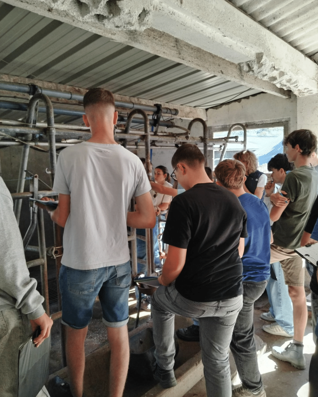 mfr-cfa-la-rouvraie-apprenants-decouverte-ferme-systeme-herbager